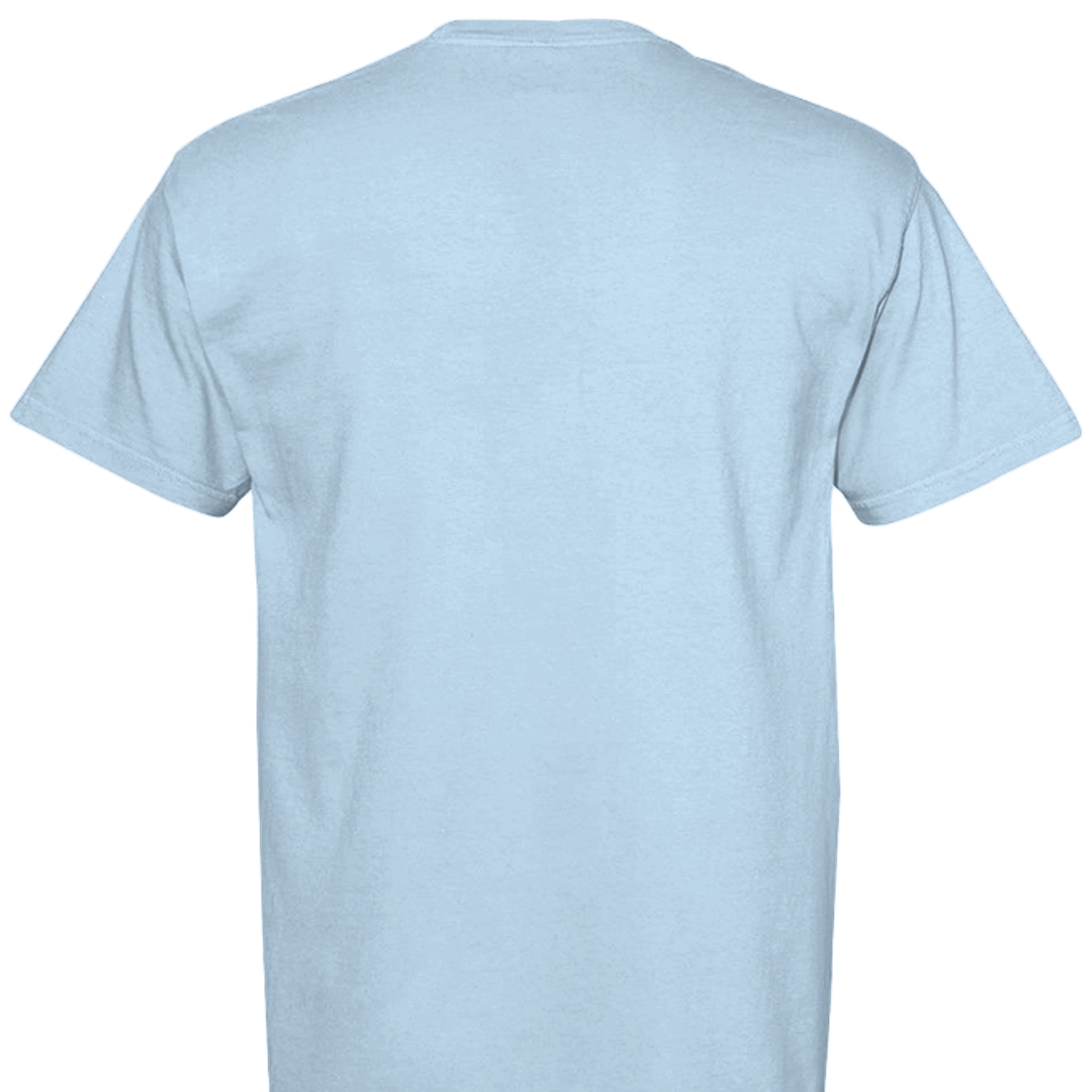 Hydrangea - C1717 - BACK